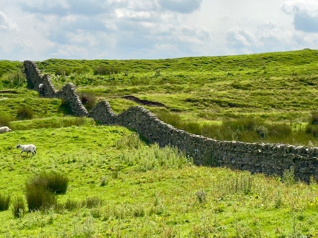 Wall